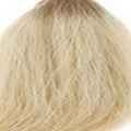 14/1001 – Golden Blonde to Platinum Ombre