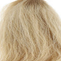 17/DB6 – Copper to Blonde Ombre