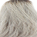 1B/Silver – Black to Silver Ombre