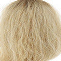 6/1001 – Light Brown to Platinum Ombre