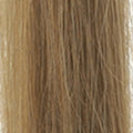 10 – Ash Dark Blonde