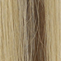 12/DB2 – Copper & Golden Highlights