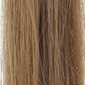 12 – Golden Copper Blonde