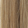 17 – Intense Golden Copper Blonde