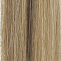 9/DB3 – Dark Blonde & Golden Highlights