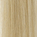 DB2 – Light Golden Blonde