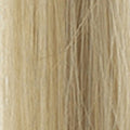 DB3 – Golden Blonde
