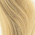 20/DB3 – Platinum & Golden Highlights