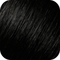 1B